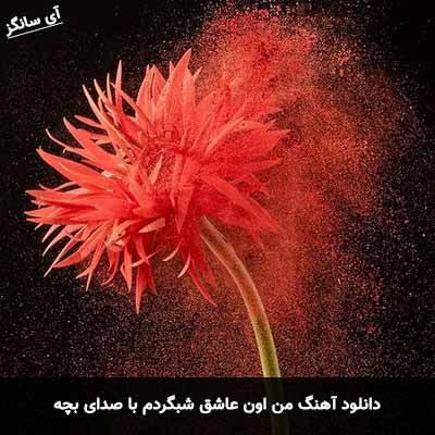 دانلود آهنگ من اون عاشق شبگردم با صدای بچه مرتضی جعفرزاده